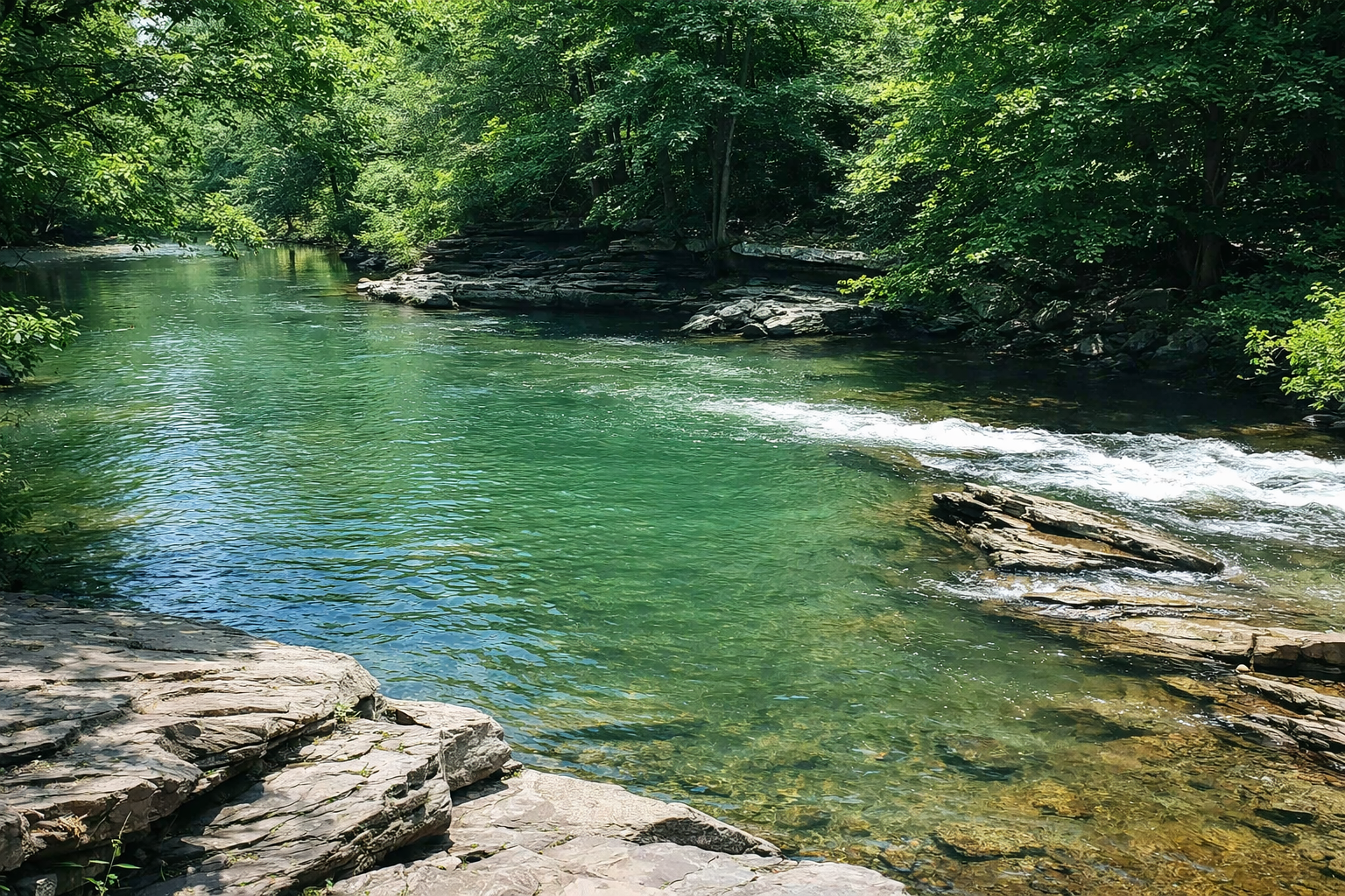 Turkey Creek running through the community